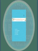 International bussiness the challenge of global competition 11e chapter 08 