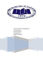 Tiểu luận chính sách cổ tức