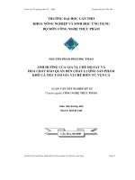 Ảnh hưởng của gia vị, chế độ sấy và hóa chất bảo quản đến chất lượng sản phẩm khô cá tra tẩm gia vị chế biến từ vụn cá
