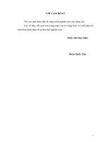 Thực trạng bạo lực gia đình với phụ nữ tại xã Võng Xuyên, huyện Phúc Thọ, Hà Nội