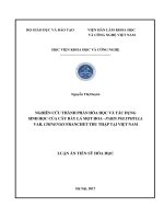 Nghiên cứu thành phần hóa học và hoạt tính sinh học của cây bảy lá một hoa  Paris polyphylla var. chinensis Franchet thu thập tại Việt Nam (LA tiến sĩ)