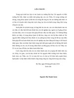 Đánh giá kết quả thực hiện phương án quy hoạch sử dụng đất giai đoạn 20102015 tại thành phố Nam Định, tỉnh Nam Định
