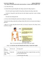 CÁC NHÂN TỐ ẢNH HƯỞNG ĐẾN SINH TRƯỞNG VÀ PHÁT TRIỂN Ở ĐỘNG VẬT
