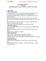 Kế hoạch thực hiện  Chủ đề quê hương đất nước Bác Hồ