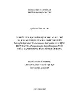 Nghiên cứu đặc điểm bệnh học và cơ chế đa kháng thuốc của hai loài vi khuẩn Edwardsiella ictaluri và Aeromonas hydrophila gây bệnh trên cá tra (Pangasianodon hypophthalmus) ...