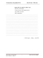 Thực trạng kế toán các phần hành chủ yếu tại trường mầm non tư thục Ban Mai