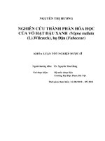 Nghiên cứu thành phần hóa học của vỏ hạt đậu xanh