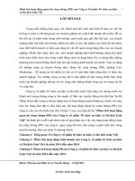 Phân tích hoạt động quan hệ công chúng (PR) của Công ty Cổ phần Tổ chức sự kiện và Du lịch Gala Việt
