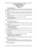 Giáo án mầm non  Chủ đề: Thế giới thực vật