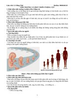 SINH TRƯỞNG VÀ PHÁT TRIỂN Ở ĐỘNG VẬT