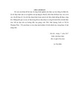 Quy hoạch hệ thống thoát nước cho khu đô thị mới Cửa Tiền, phường Vinh Tân, thành phố Vinh, tỉnh Nghệ An