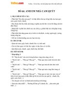 Giáo án mầm non đề tài: Anh em nhà cam quýt 