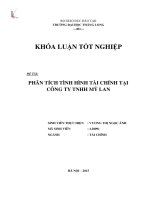 Phân tích tình hình tài chính tại công ty TNHH Mỹ Lan (Luận văn tốt nghiệp)