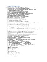 Sự hòa hợp giữa chủ ngữ và động từ