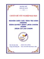 Nghiên cứu các yếu tố ảnh hưởng đến quyết định lựa chọn điểm đến cù lao chàm của khách du lịch 