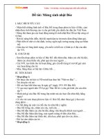 Giáo án mầm non đề tài: Mừng sinh nhật Bác Hồ 