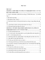 TỔ CHỨC HOẠT ĐỘNG KIỂM TOÁN CỦA CÔNG TY TNHH KIỂM TOÁN VÀ TƯ VẤN ĐẤT VIỆT