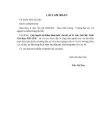 Quy hoạch hệ thống thoát nước cho thị xã Từ Sơn, tỉnh Bắc Ninh; Giai đoạn 20202030