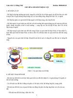 HÔ HẤP Ở ĐỘNG VẬT VÀ BÀI TẬP TRẮC NGHIỆM