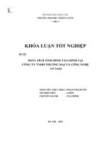 Phân tích tình hình tài chính tại công ty TNHH Thương mại và công nghệ An Nam (Luận văn tốt nghiệp)