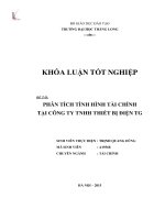 Phân tích tình hình tài chính tại công ty TNHH thiết bị điện TG (Luận văn tốt nghiệp)