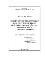 Nghiên cứu sử dụng tinh bột làm chất bảo vệ trong quá trình tạo nguyên liệu Probiotic chứa Lactobacillus acidophilus Nguyễn Mai Hương