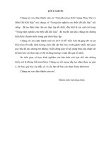 BÁO CÁO THỰC TẬP: XÂY DỰNG MÔ HÌNH MIKE NAM TÍNH TOÁN  DÒNG CHẢY CHO LƯU VỰC SÔNG VU GIA – THU BỒN