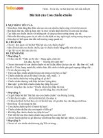 Giáo án mầm non đề tài: Con chuồn chuồn 