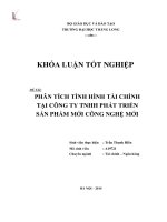 Phân tích tình hình tài chính tại công ty TNHH phát triển sản phẩm công nghệ mới (Luận văn tốt nghiệp)
