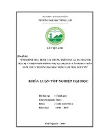 Tình hình mắc bệnh cầu trùng trên đàn gà isa shaver hậu bị và biện pháp phòng trị tại trại gia cầm khoa chăn nuôi thú y trường đại học nông lâm thái nguyên  