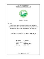 Nghiên cứu hội chứng tiêu chảy ở lợn giai đoạn từ sau cai sữa đến 4 tháng tuổi tại trại lợn công ty c p  bình minh   mỹ đức   hà nội và thử nghiệm phác đồ điều trị  