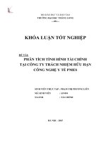 Phân tích tình hình tài tại chính công ty TNHH Công nghệ Y tế Pmes (Khóa luận tốt nghiệp)