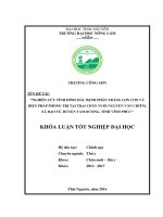 Nghiên cứu tình hình mắc bệnh phân trắng lợn con và biện pháp phòng trị tại trại lợn nguyễn văn chiêm   xã đạo tú   huyện tam dương   tỉnh vĩnh phúc  