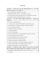 TỔ CHỨC HOẠT ĐỘNG KIỂM SOÁT   NỘI BỘ TẠI CÔNG TY CỔ PHẦN THƯƠNG MẠI ĐẦU TƯ VÀ DỊCH VỤ NC VIỆT NAM