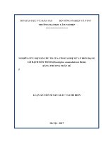 NGHIÊN CỨU MỘT SỐ YẾU TỐ CỦA CÔNG NGHỆ XỬ LÝ BIẾN DẠNG GỖ BẠCH ĐÀN TRẮNG BẰNG PHƯƠNG PHÁP XẺ