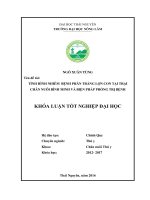 Tình hình nhiễm bệnh phân trắng lợn con tại trại chăn nuôi bình minh và biện pháp phòng trị bệnh  