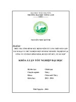 Điều tra tình hình mắc bệnh viêm tử cung ở đàn lợn nái ngoại và thử nghiệm một số phác đồ điều trị tại công ty cổ phần bình minh   huyện mỹ đức   hà nội  