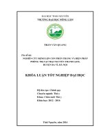 Nghiên cứu bệnh lợn con phân trắng và biện pháp phòng trị tại trại nguyễn thanh lịch   huyện ba vì   hà nội  