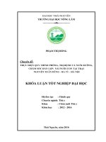 Thực hiện quy trình phòng, trị bệnh và nuôi dưỡng,chăm sóc đàn lợn nái nuôi con tại trại lợn nguyễn xuân dũng –ba vì – hà nội  