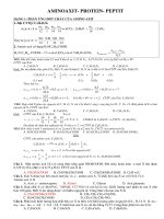 Các dạng bài tập AMINOAXIT PEPTIT PROTEIN và bài tập minh họa (có đáp án)