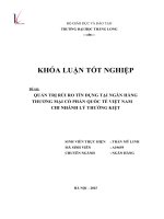 Quản trị rủi ro tín dụng tại ngân hàng thương mại cổ phần quốc tế việt nam chi nhánh Lý Thường Kiệt (Khóa luận tốt nghiệp)