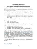 Định hướng chuyên môn trong đào tạo  bồi dưỡng học sinh năng khiếu Tin học