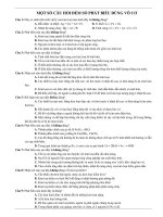 Chuyên đề đếm số phát biểu vô cơ