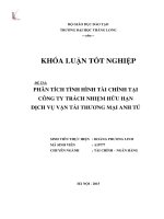 Phân tích tình hình tài chính tại Công ty trách nhiệm hữu hạn dịch vụ vận tải thương mại Anh Tú (Luận văn tốt nghiệp)