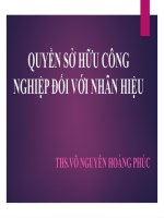BÀI GIẢNG PHÁP LUẬT QUYỀN SỞ HỮU CÔNG NGHIỆP ĐỐI VỚI NHÃN HIỆU