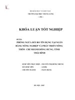 Phòng ngừa rủi ro tín dụng tại ngân hàng nông nghiệp và phát triển nông thôn chi nhánh Đông Hưng tỉnh Thái Bình (Khóa luận tốt nghiệp)