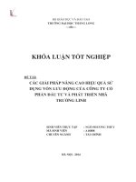Các giải pháp nâng cao hiệu quả sử dụng vốn lưu động của công ty Cổ phần đầu tư và Phát triển nhà Trường Linh (Khóa luận tốt nghiệp)