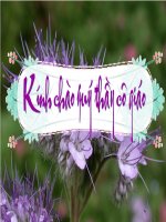 Bài 12: Tình yêu  GDCD