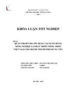 Quản trị rủi ro tín dụng tại ngân hàng nông nghiệp và phát triển nông thôn Việt Nam chi nhánh thành phố Hưng Yên (Khóa luận tốt nghiệp)