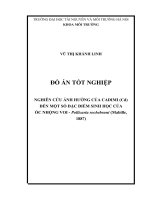 NGHIÊN CỨU ẢNH HƯỞNG CỦA CADIMI (Cd) ĐẾN MỘT SỐ ĐẶC ĐIỂM SINH HỌC CỦA  ỐC NHỘNG VOI  Pollicaria rochebruni (Mabille, 1887